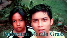 Vlog Merawat Rumput Manila Grass by Diary Rumahan