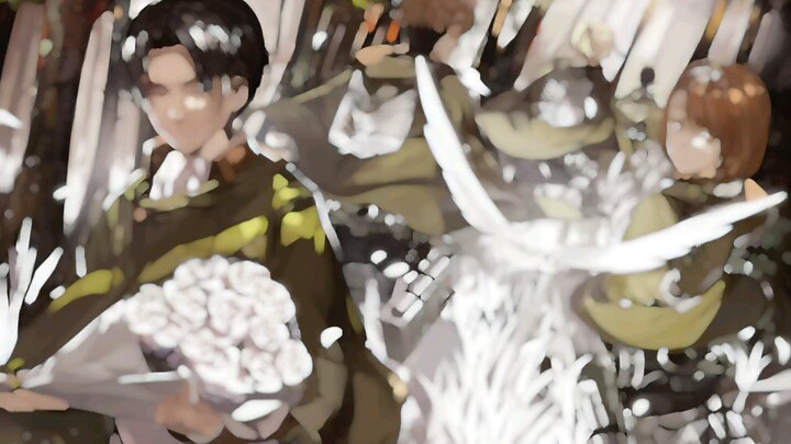 [Captain Levi] "Choose the path for yourself and you won't regret it."