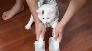 神经，害我笑了一整天