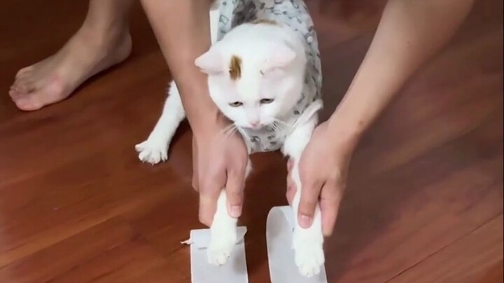 ประสาท ทำให้ฉันหัวเราะทั้งวันเลย