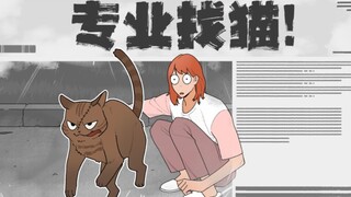 "What is it like to have a stray cat help me find a cat?"