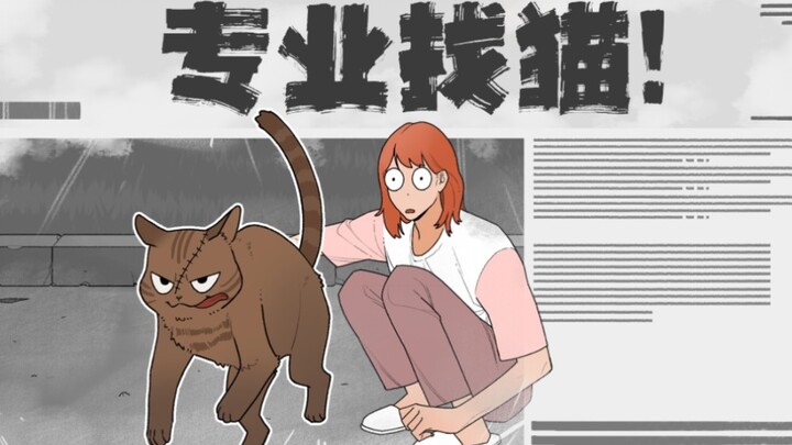 "What is it like to have a stray cat help me find a cat?"