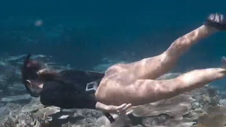 الغوص حقًا رياضة ممتعة للعين! من الذي لا يحبها؟