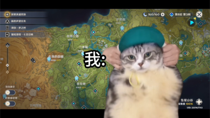 [Cat Meme] How I’ve Made a Living Thanks to Genshin Impact