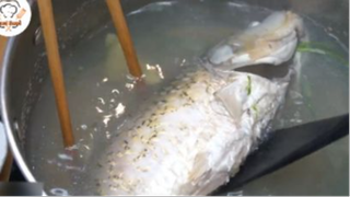 Bí quyết nấu cháo Cá Chép thơm ngon mà không bị tanh 2 #food