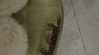 Check the mental state of the virtual anchor. How can a V not be crazy?