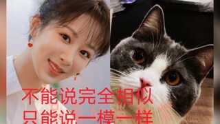 知道了知道了全世界都知道这个小可爱是你的！#肖战#杨紫！#余生请多指教不能说完全相似只能说一模一样！