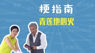 青莲地心火是什么梗【梗指南】