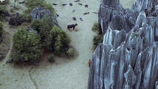 Sean benar-benar terkejut, harus mengakui kekalahan.