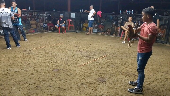 loss second fight