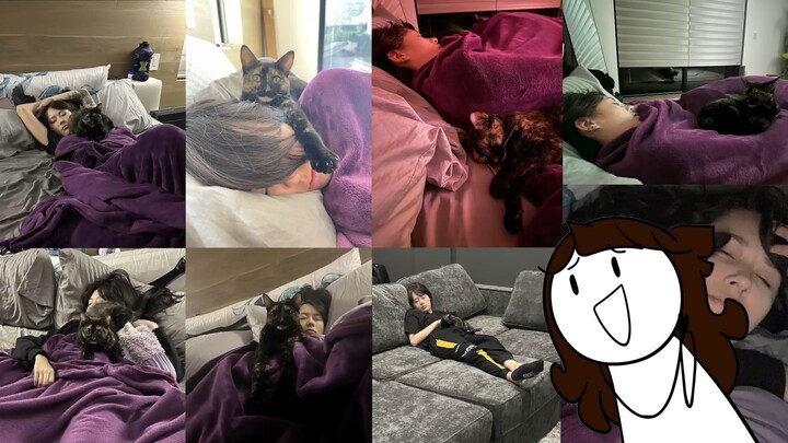 I Got a Cat… and Everything Changed 🐱