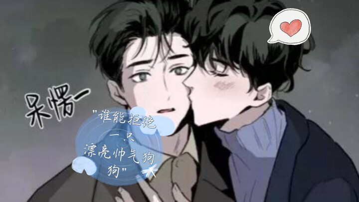 谁能拒绝一只漂亮帅气狗狗