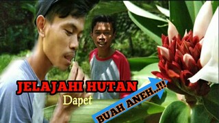 JELAJAHI HUTAN ANKER|DAPET BUAH ANEH..!!!