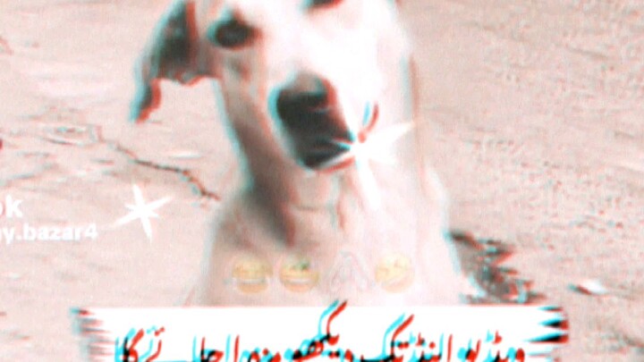 funny