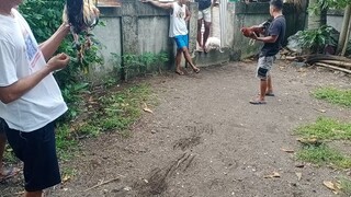 talisay