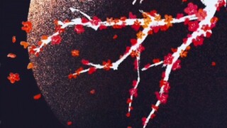 [Xiao Zhan] The plum blossom picture you drew is very beautiful