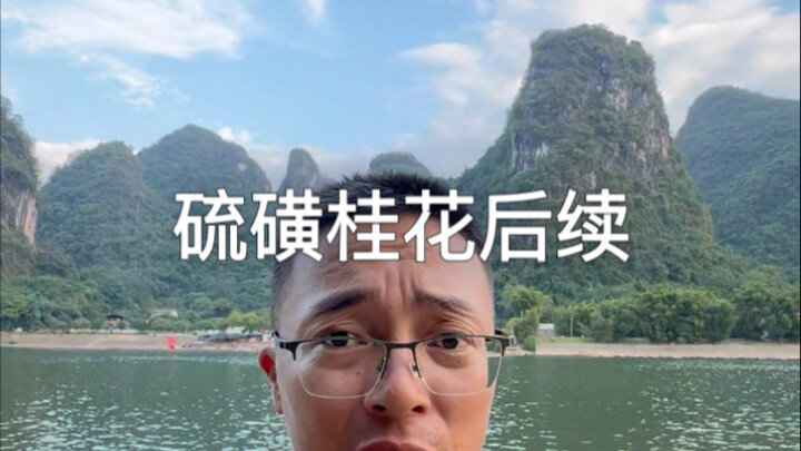 Follow-up on the sulfur-treated osmanthus: the entire county is conducting comprehensive inspections