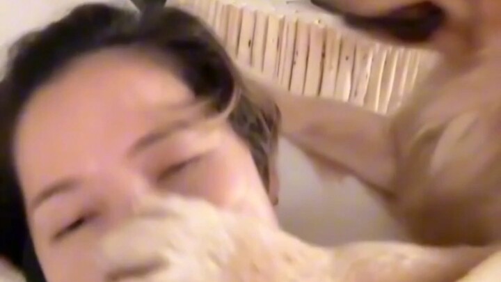 Comfort Dog: Bao Yi Si!