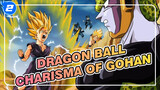 Dragon Ball|【Epic Compilation】This is the charisma of Gohan_2