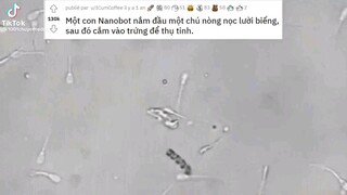 cách người lười sinh ra