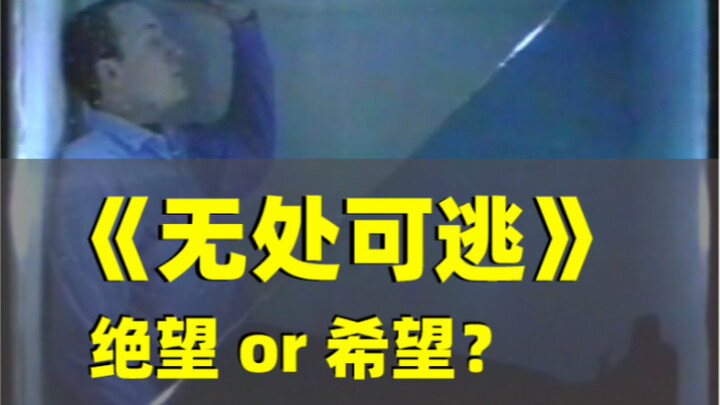 Nếu cuộc sống giống như bị nhốt trong bể nước, dù biết nỗ lực cũng vô ích, bạn có còn cố vùng vẫy kh