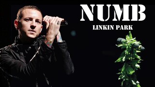 Para Penggemar Menyanyikan "Numb" di LA