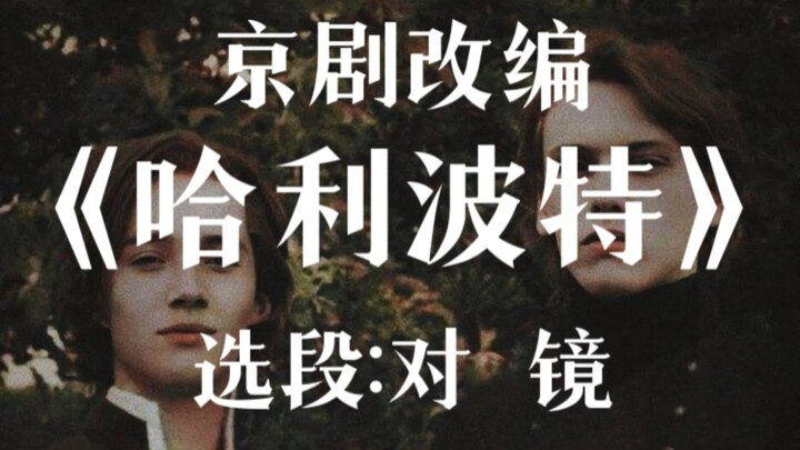 京剧改编《哈利波特》选段:邓布利多对镜