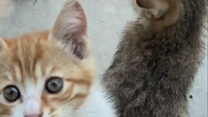 This is simply paradise!