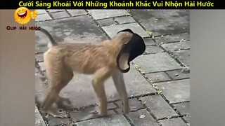 Cười Sảng Khoái Với Những Khoảnh Khắc Vui Nhộn Hài Hước Và Lầy Lội Nhất p22