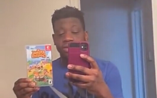 After Playing Animal Crossing...