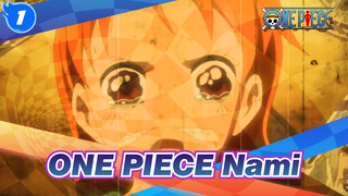 [ONE PIECE] Nami's Memory (Cocoyasi Village)[MAD/AMV]_1