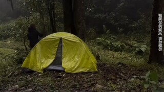 哀牢山，她去了没事，她回来官方就发通告不让进去了