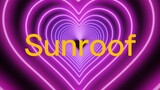 Sunroof (lyrics)