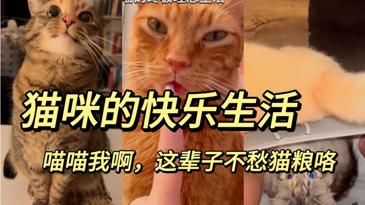 “Mata bulat menggemaskan, suara manis merdu”, “Coba tebak hewan apa?”