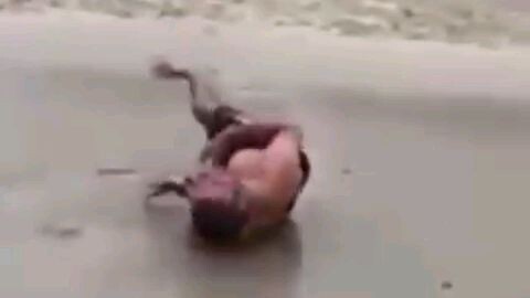 diving skills
