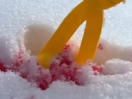 When I woke up, the global prices depreciated by a million times, only the Tom and Jerry account val