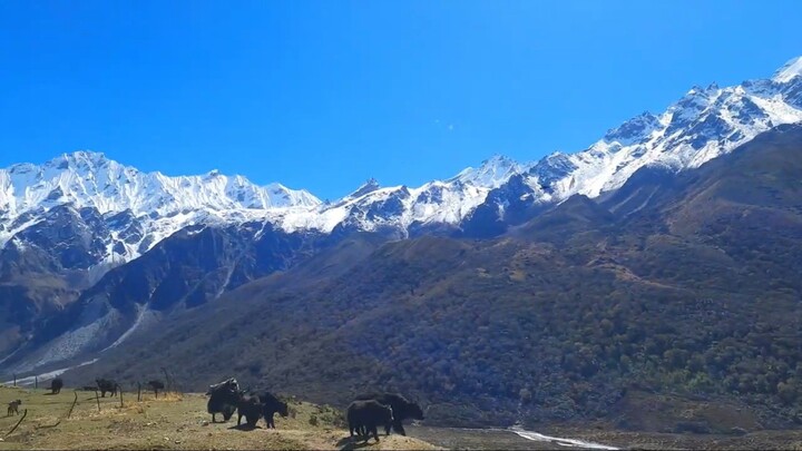 My Trekking Vlog 🚩🇳🇵🥳😍