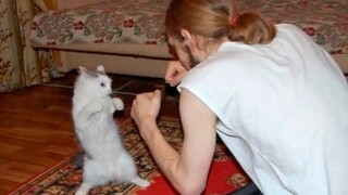 รวมคลิปวิดีโอน่าสนใจจากต่างประเทศ ดูจบแล้วรู้สึกว่าโลกทั้งใบช่างสนุกสนานเหลือเกิน! #142