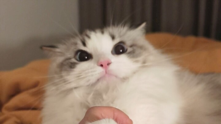 Memicu kode lapisan bawah!