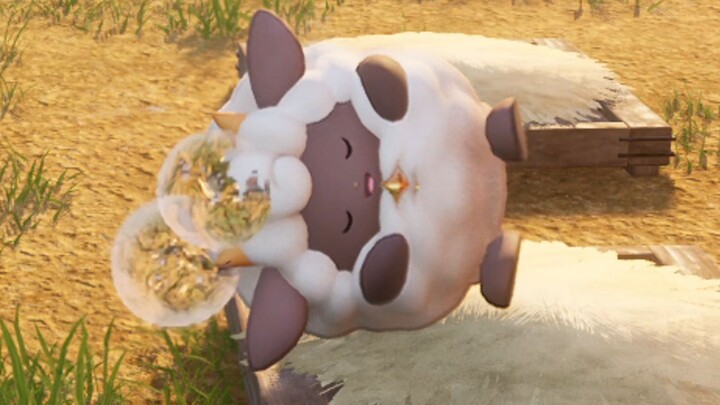 يوميات مراقبة ميان يويو ❤️