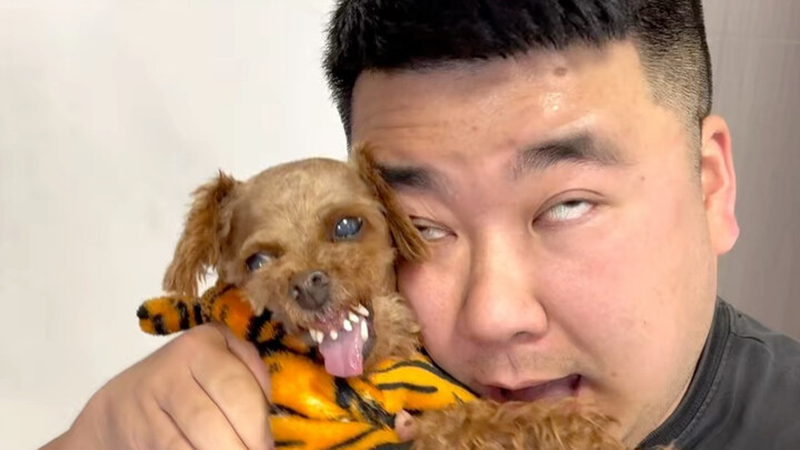 Cả năm đã qua rồi, cũng nên tặng giáo viên nước ngoài một chút tiền thưởng cuối năm thôi.