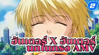 HxH - นกในกรง | ฮันเตอร์ x ฮันเตอร์
/ AMV_2