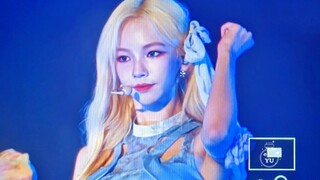 【柳智敏】金发Menagerie首个舞台！全新个人风格！