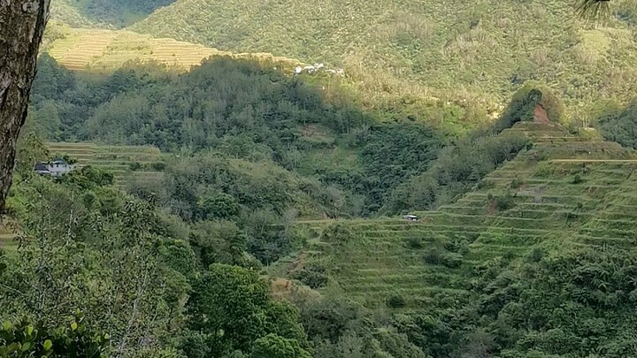 Banaue rice terraces