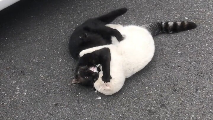 Why did Hakimi and his opponent suddenly stop fighting and just hug each other?