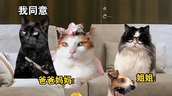 Khi bạn trai của chị gái gặp tôi lần đầu tiên (Tập 2)