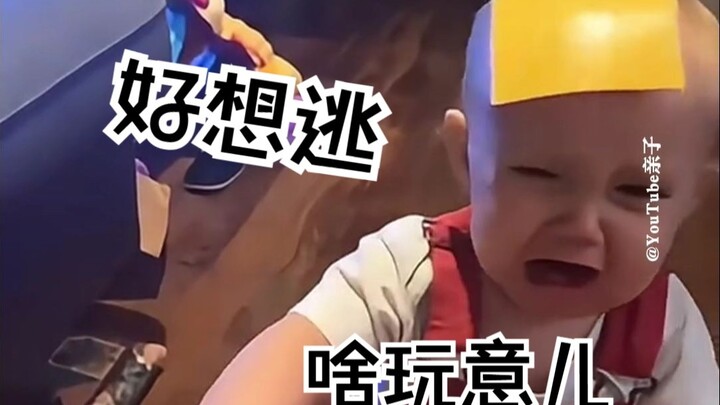 Lagi-lagi datang~🧀 Kekuatan keju!!!