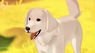 If anyone ever says Genshin Impact's protagonist isn't abstract, show them this. The most abstract E