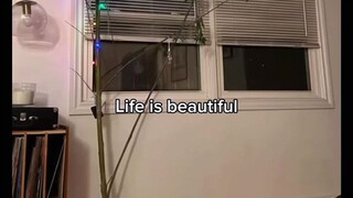 life is beautiful 👁️👅👁️