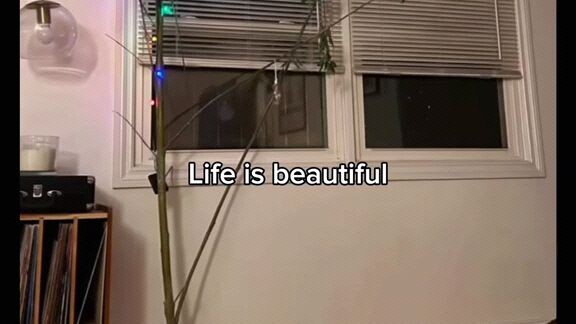 life is beautiful 👁️👅👁️